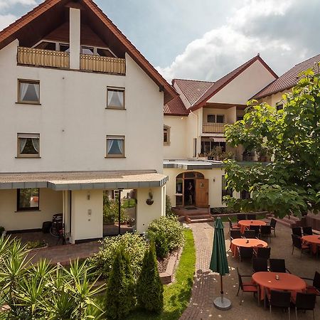 Hotel Pfaffenhofen Schwabenheim an der Selz 외부 사진