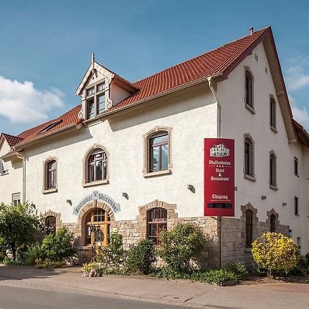 Hotel Pfaffenhofen Schwabenheim an der Selz 외부 사진